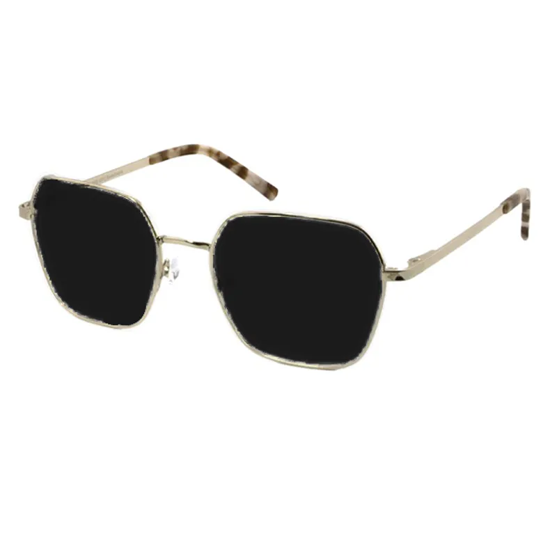 NPS 3190 Filterbrille ME